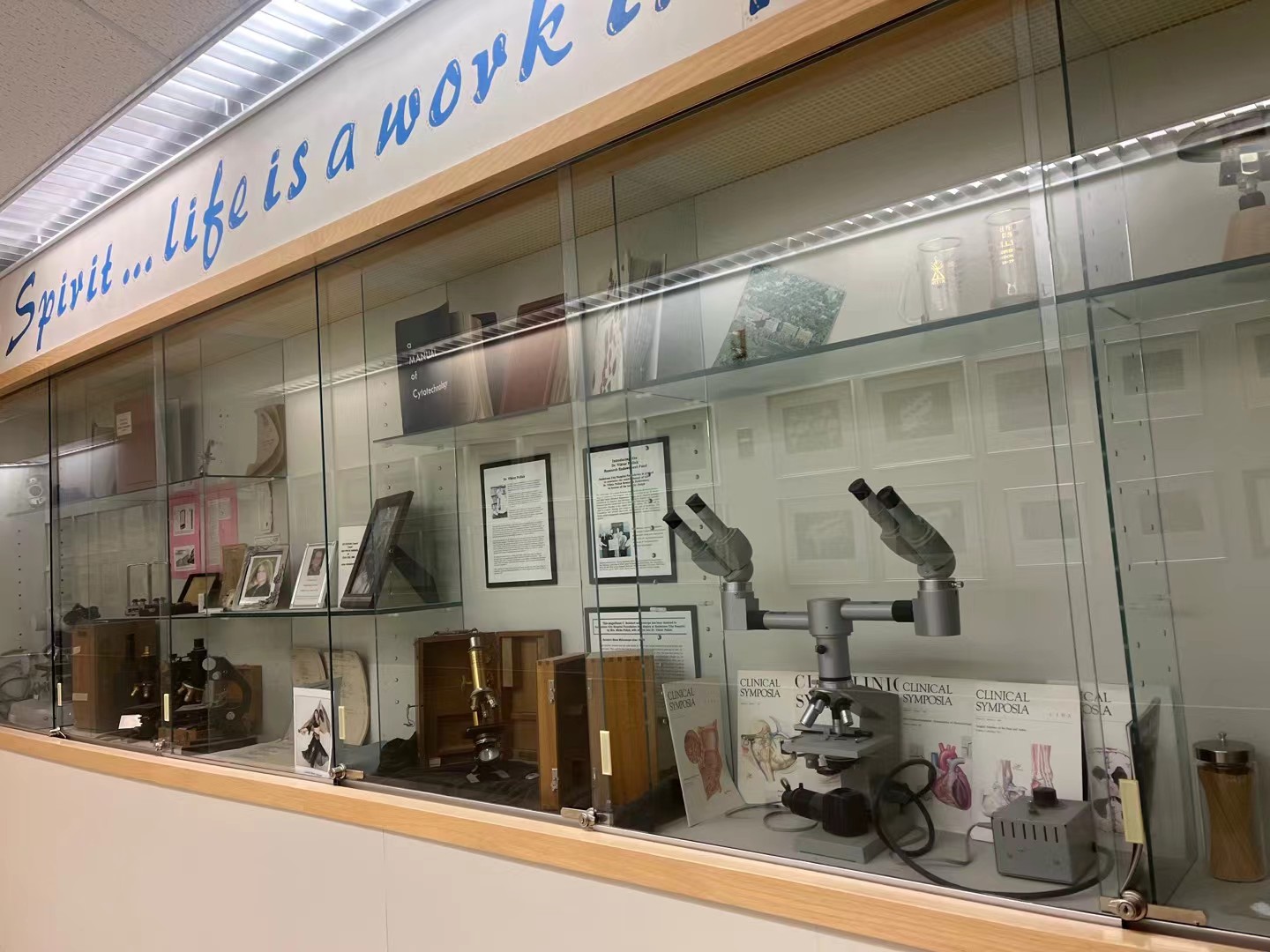 Microscopes and medical materials displayed in a quiet hospital corridor.