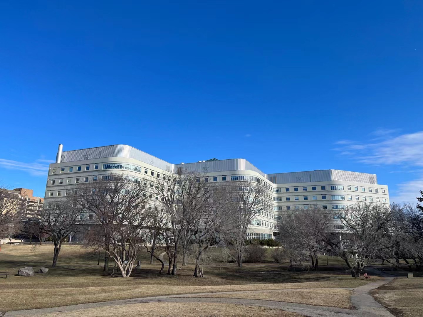 A hospital building under a clear blue sky, quiet and bright behind the trees.