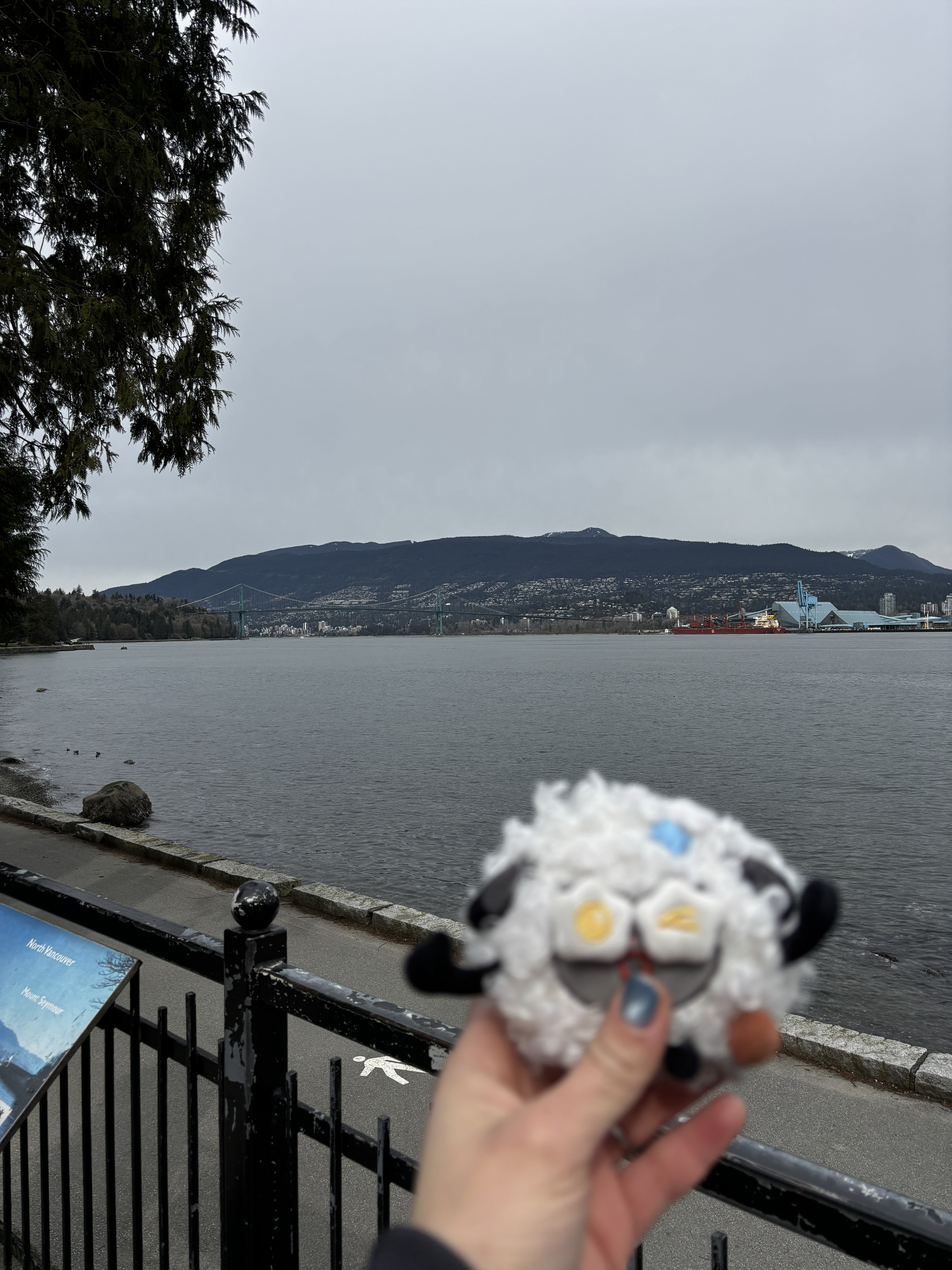 海边出游时的风景。