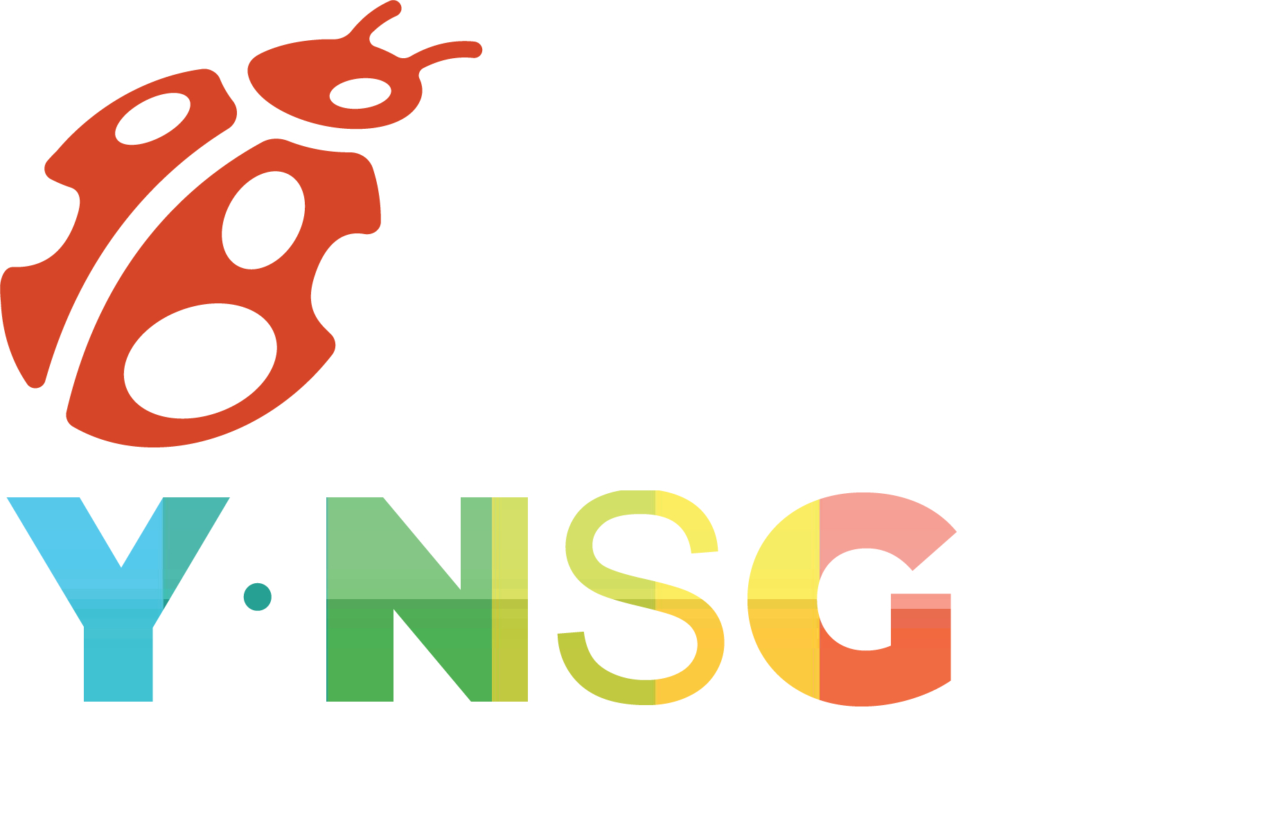Youth Neighbourhood Small Grants