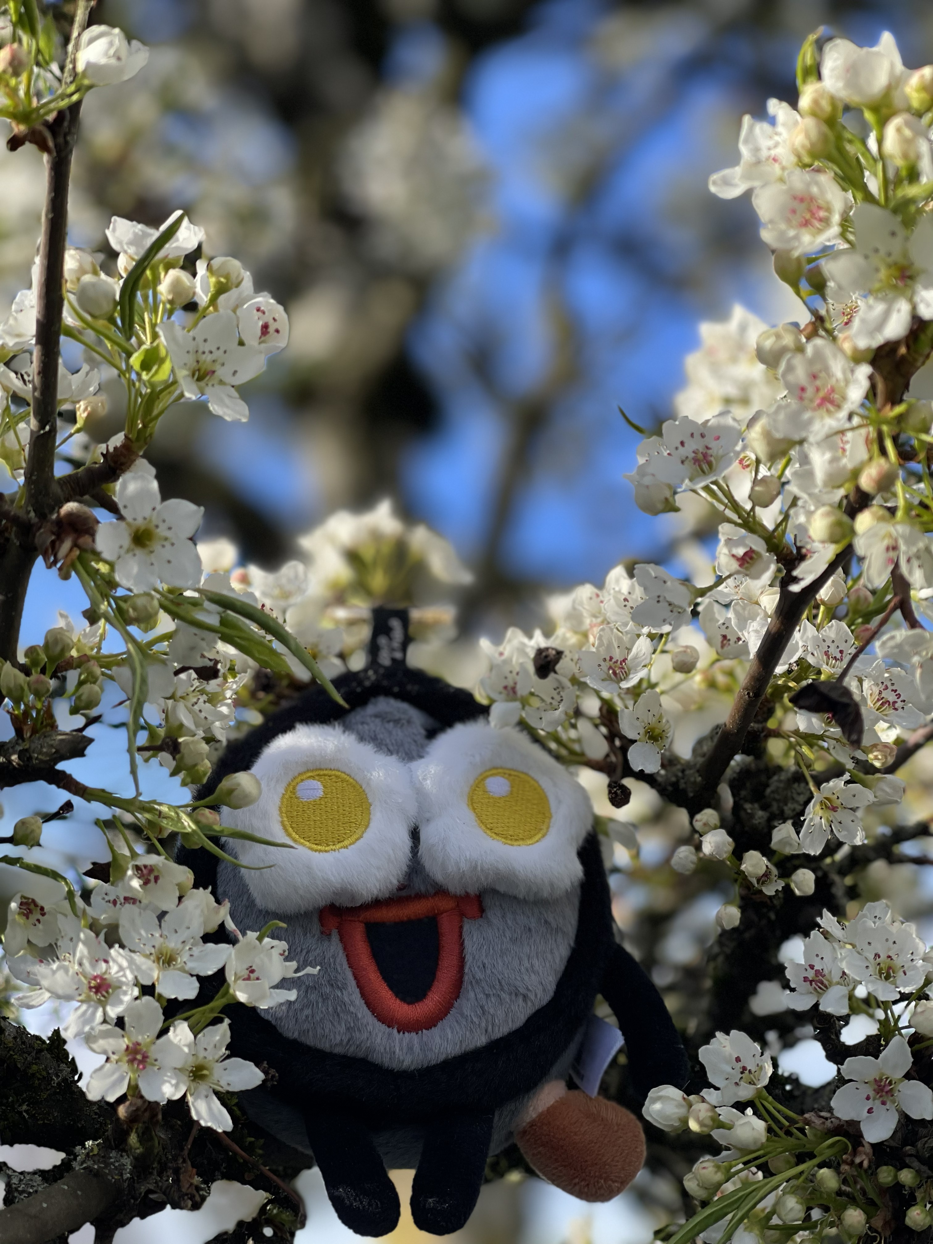 另一张樱花与吉祥物的照片。
